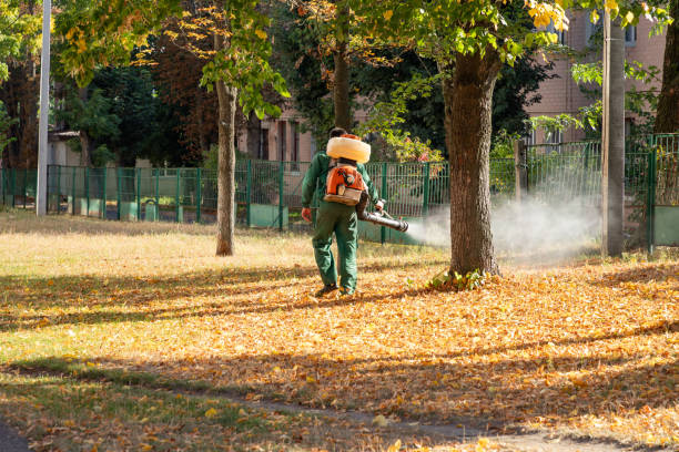 Best Affordable Pest Control Services  in USA